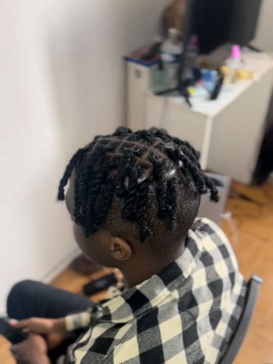 Retwist demi tete (degradé haut) + vanilles ( acompte 25€, prix final 50€)